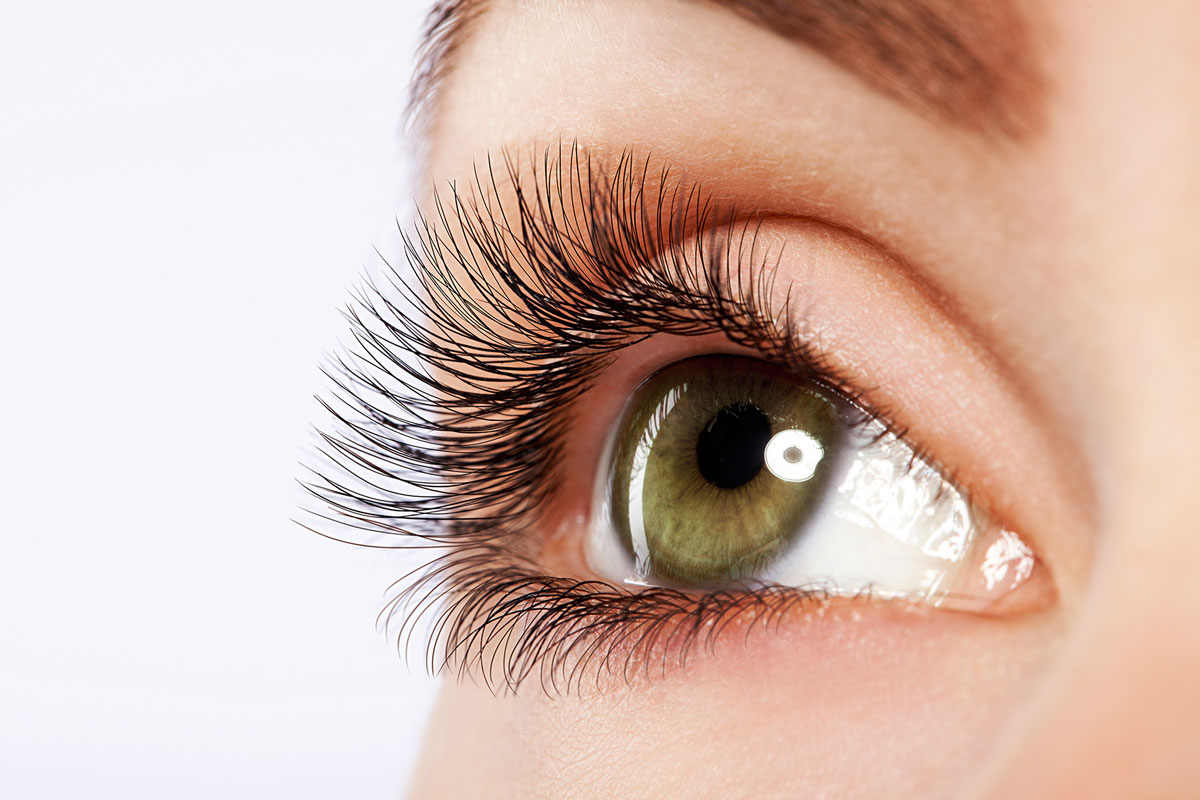 tudo sobre lash lifting